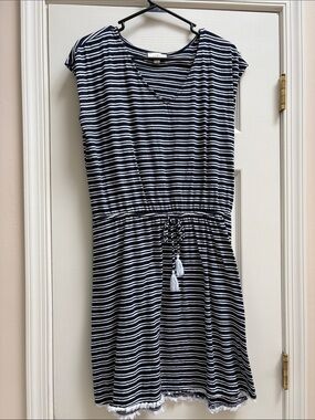 LOFT Navy and White dress